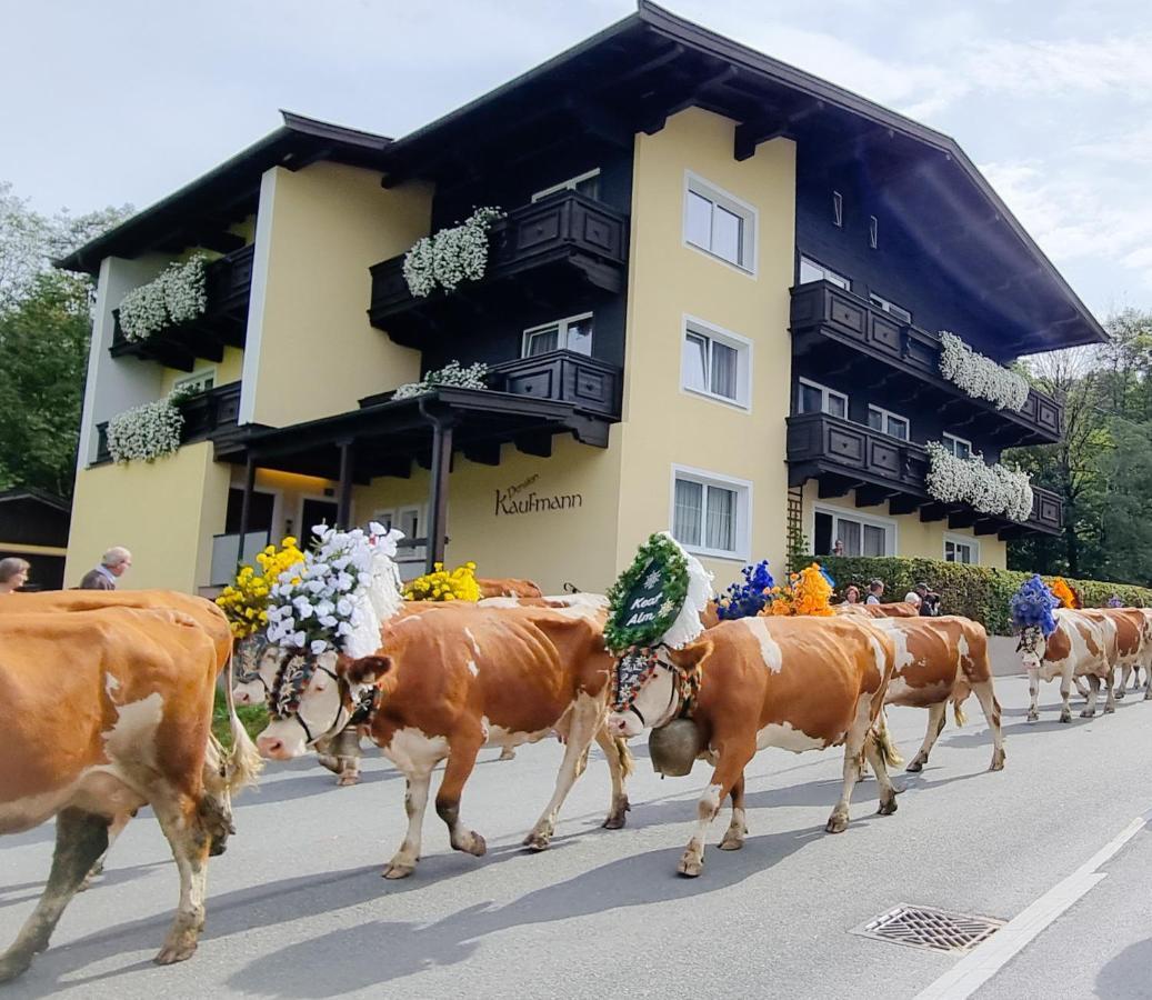 Mountain Fresh - Alpine Easy Stay Söll Esterno foto
